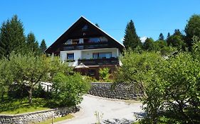 Apartma Pri Toncki
